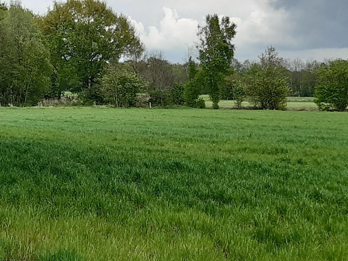 Auf Dem Lande Appartement Weener Buitenkant foto